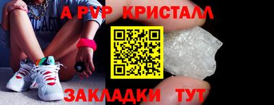 стафф Дубна