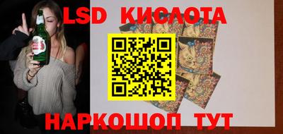 стафф Дубна
