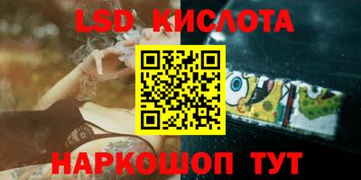 стафф Дубна
