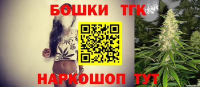 стафф Дубна