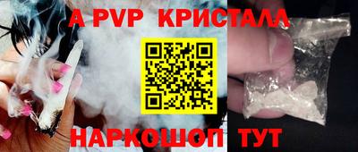 стафф Дубна
