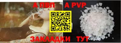 стафф Дубна